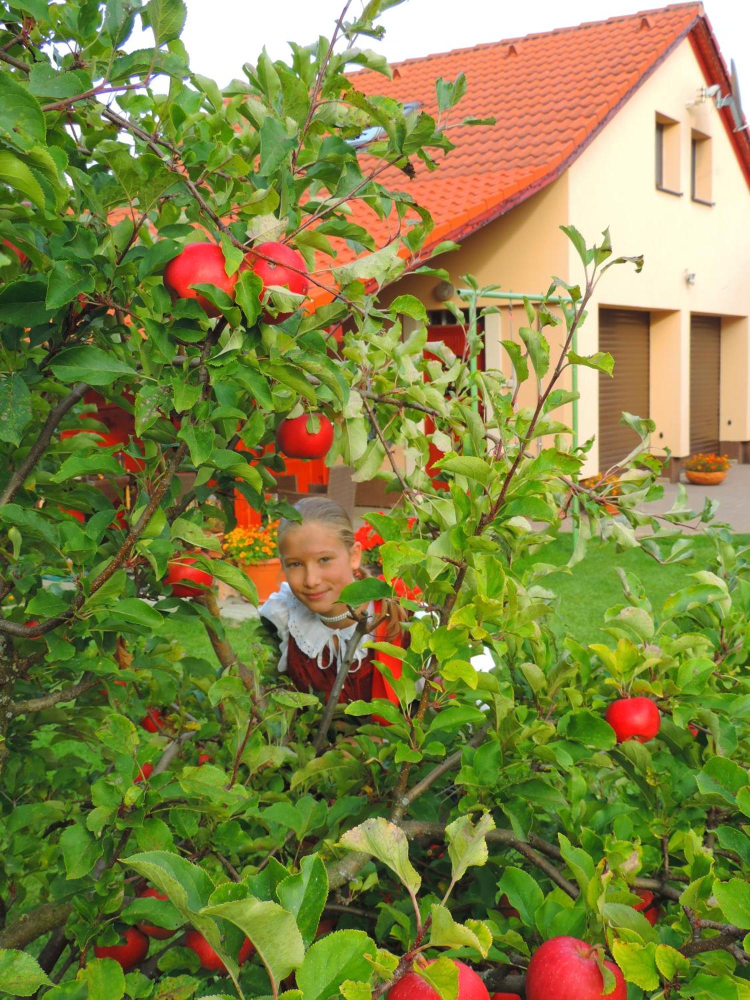 Holiday Home Linda Liptovský Mikuláš Extérieur photo